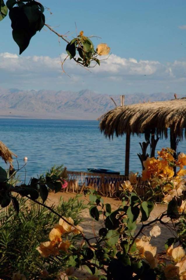 Nakhil Nuweiba