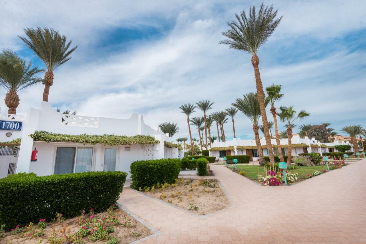Resort Shams Safaga