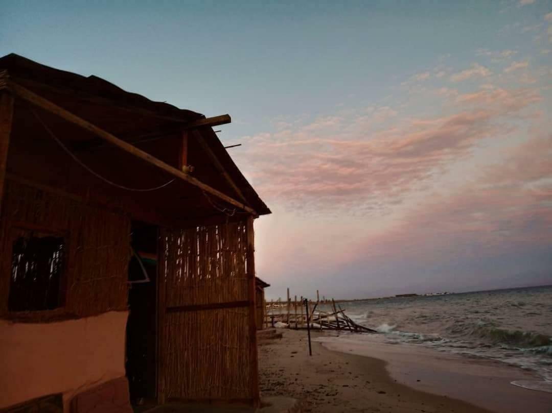 La Commune Camp * Nuweiba