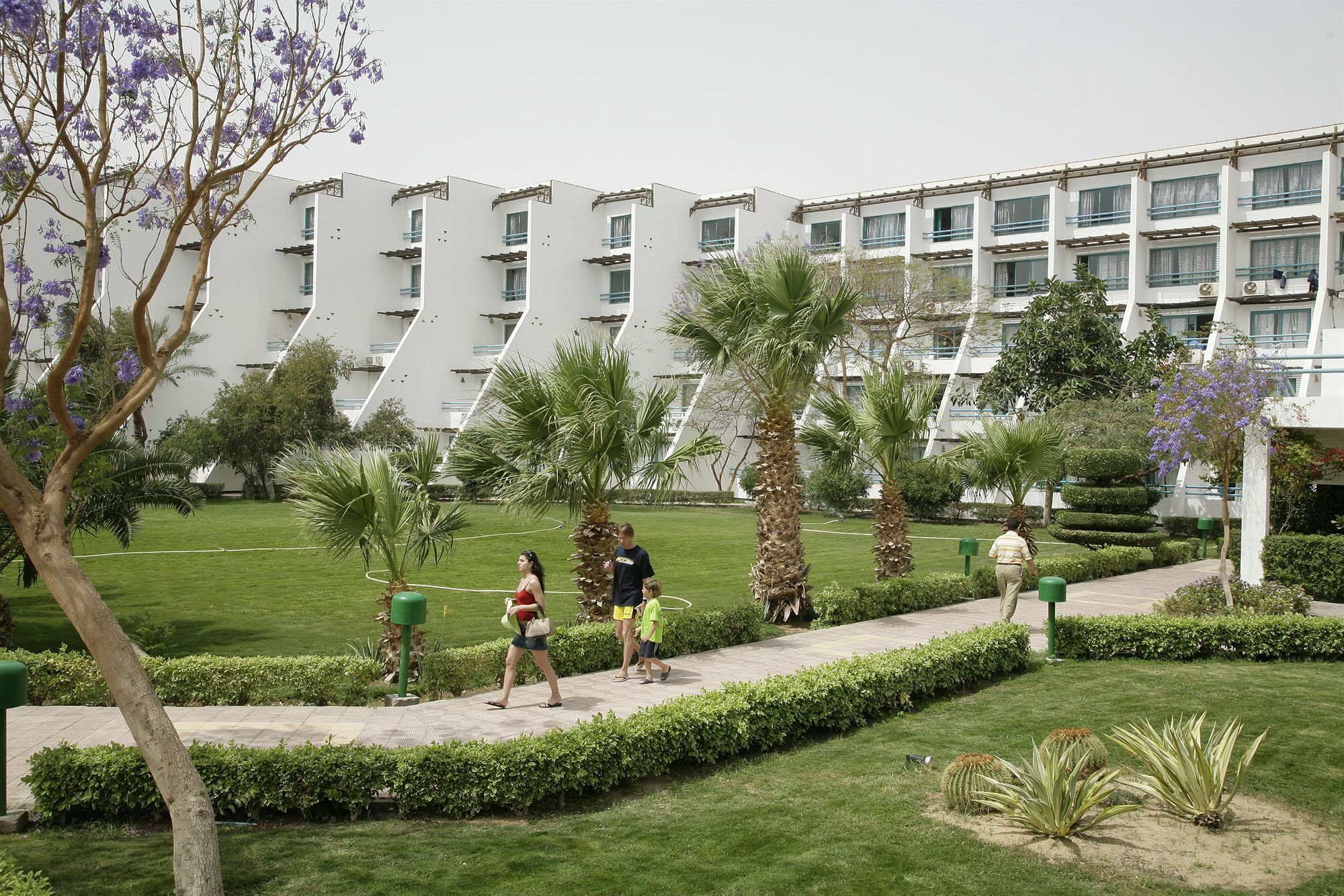 Resort Shams Safaga