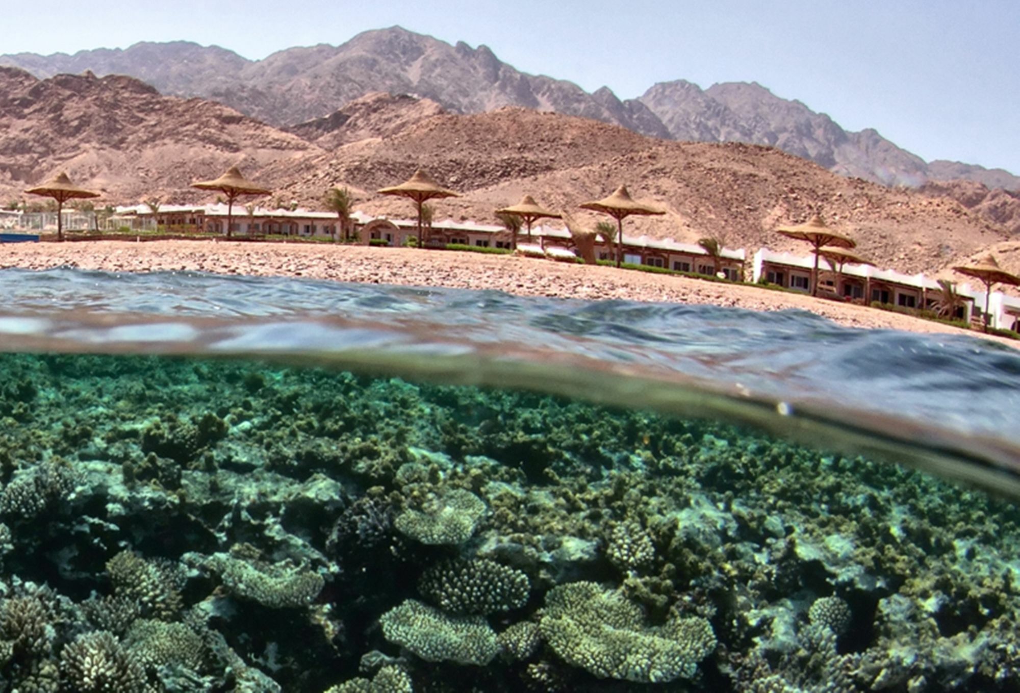 Canyon Estate Kite & Dive Hotel Dahab