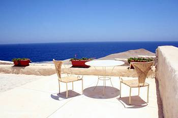 The Oasis
