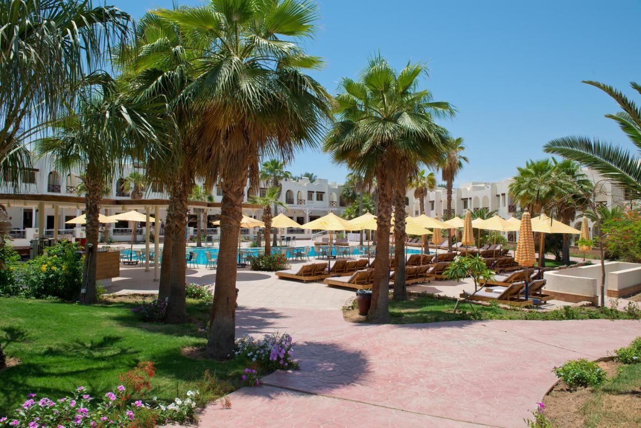 Amphoras Aqua Resort Sharm el-Sheikh